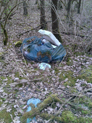 Zdjęcie 3 przedstawia problem zgłoszony w tym alercie