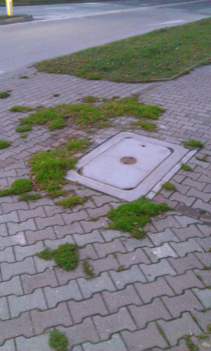 Zdjęcie 1 przedstawia problem zgłoszony w tym alercie