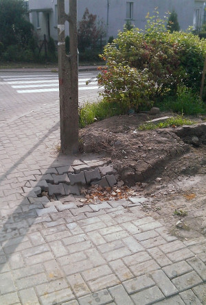 Zdjęcie 1 przedstawia problem zgłoszony w tym alercie