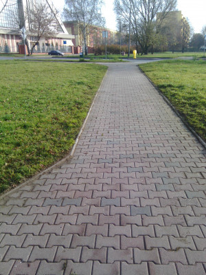 Zdjęcie 7 przedstawia problem zgłoszony w tym alercie