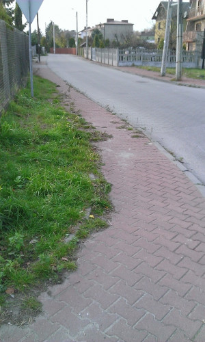 Zdjęcie 1 przedstawia problem zgłoszony w tym alercie