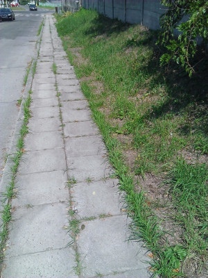 Zdjęcie 1 przedstawia problem zgłoszony w tym alercie