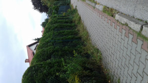 Zdjęcie 1 przedstawia problem zgłoszony w tym alercie