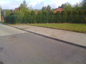 Zdjęcie 1 przedstawia problem zgłoszony w tym alercie