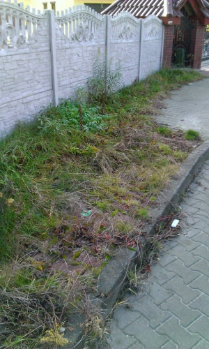 Zdjęcie 1 przedstawia problem zgłoszony w tym alercie