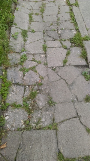 Zdjęcie 3 przedstawia problem zgłoszony w tym alercie