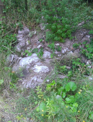Zdjęcie 1 przedstawia problem zgłoszony w tym alercie