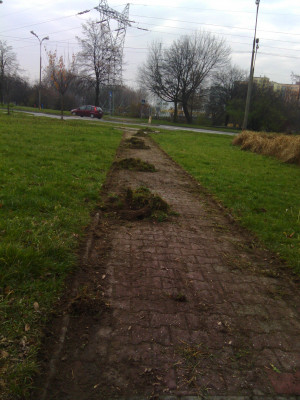 Zdjęcie 2 przedstawia problem zgłoszony w tym alercie