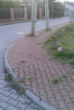 Zdjęcie 1 przedstawia problem zgłoszony w tym alercie