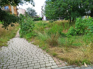 Zdjęcie 2 przedstawia problem zgłoszony w tym alercie