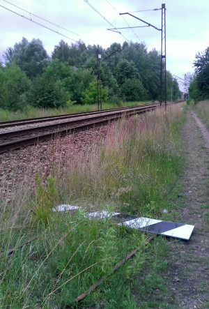 Zdjęcie 1 przedstawia problem zgłoszony w tym alercie