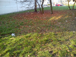 Zdjęcie 4 przedstawia problem zgłoszony w tym alercie