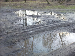 Zdjęcie 3 przedstawia problem zgłoszony w tym alercie