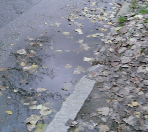 Zdjęcie 1 przedstawia problem zgłoszony w tym alercie