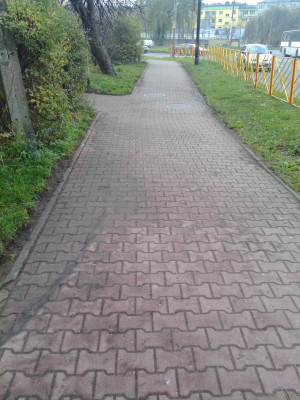 Zdjęcie 7 przedstawia problem zgłoszony w tym alercie