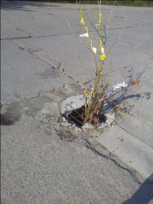 Zdjęcie 1 przedstawia problem zgłoszony w tym alercie