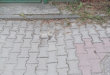 Zdjęcie 3 przedstawia problem zgłoszony w tym alercie