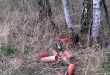 Zdjęcie 1 przedstawia problem zgłoszony w tym alercie