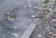 Zdjęcie 1 przedstawia problem zgłoszony w tym alercie